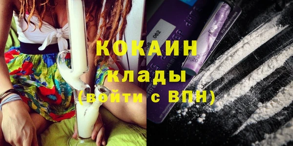 стаф Абаза