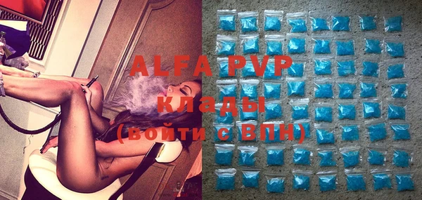 стаф Абаза