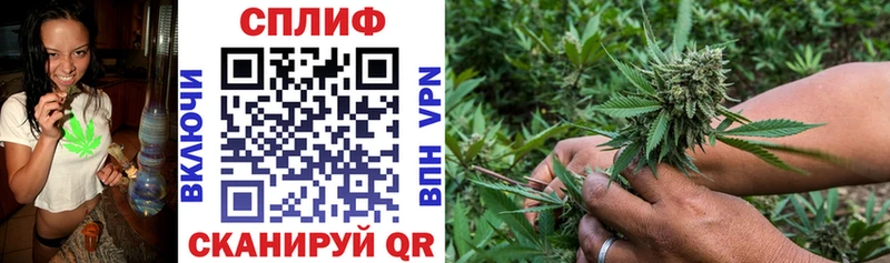 Бошки Шишки гибрид Нестеровская